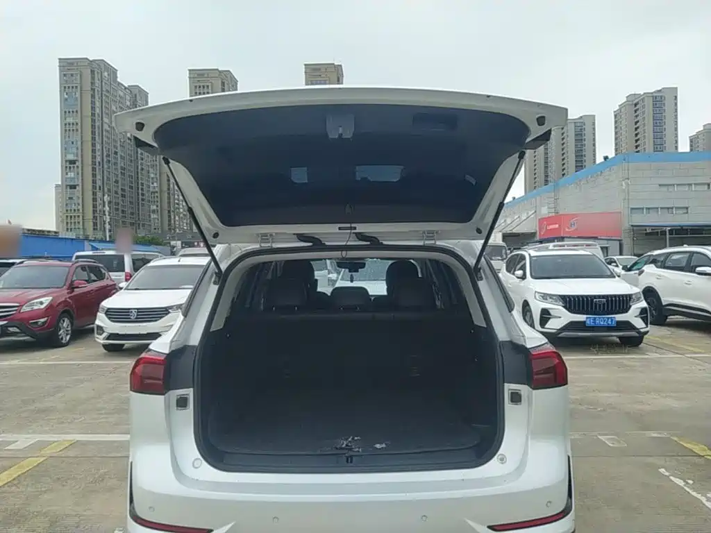 Roewe RX5 MAX 2024 2022 1.5T Auto Promising Luxury Edition