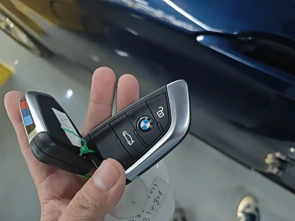 BMW X1 New Energy 2019 xDrive25Le Range Upgrade Edition фото 9