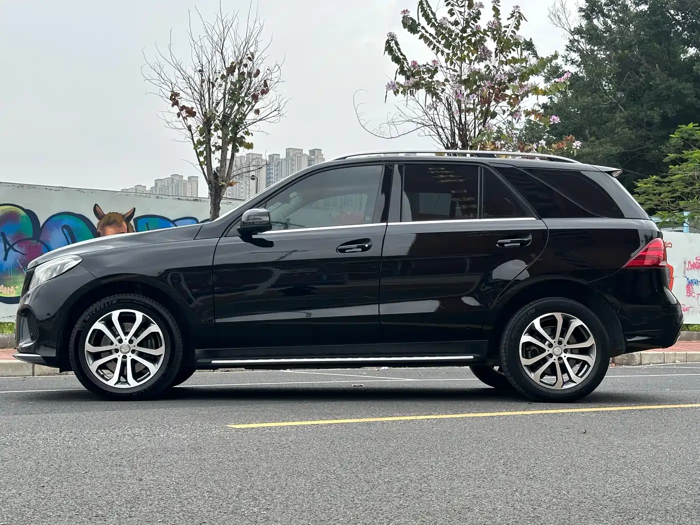 Mercedes-Benz GLE 2016 GLE 320 4MATIC Luxury фото 8