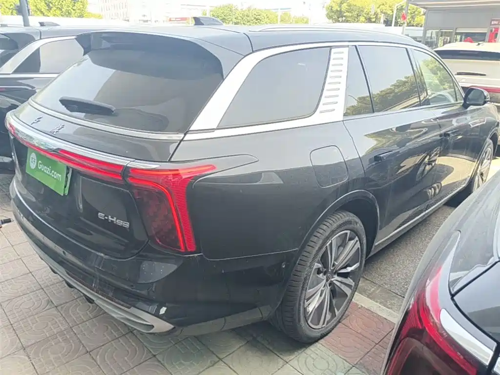 Hongqi E-HS9 2021 460km Flagship Comfort 6-seater фото 7