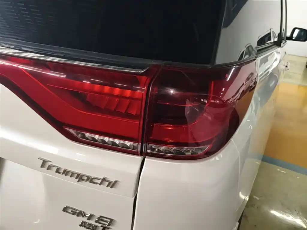 GAC Trumpchi Trumpchi M8 2018 320T Premium Edition фото 8