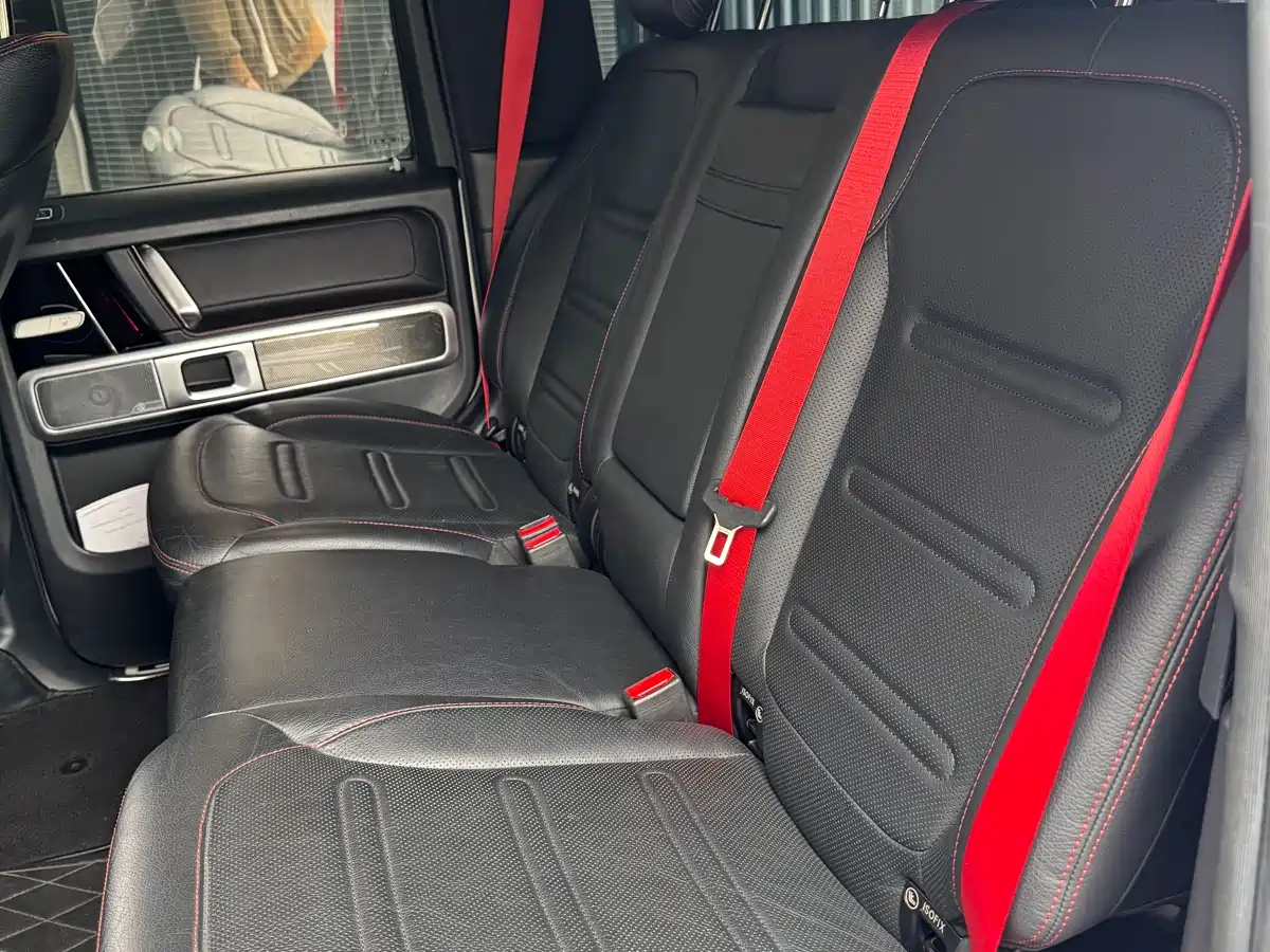 Mercedes-Benz G-Class 2019 G 500 фото 16