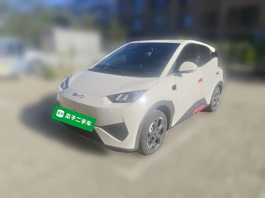 BYD Seagull 2026 2025 Smart Drive Edition 305km Freedom Version