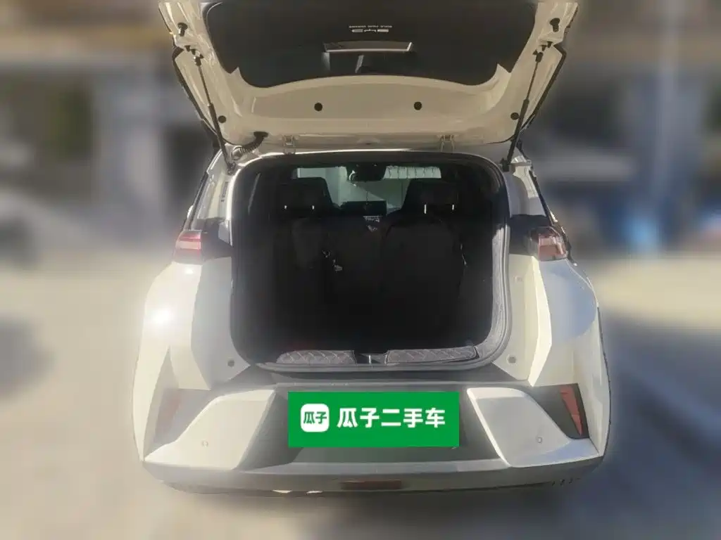 BYD Seagull 2026 2025 Smart Drive Edition 305km Freedom Version