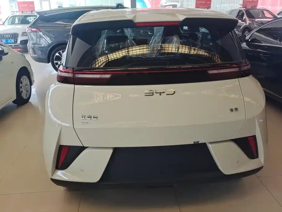 BYD Seagull 2026 2025 Smart Drive Edition 305km Vitality Version