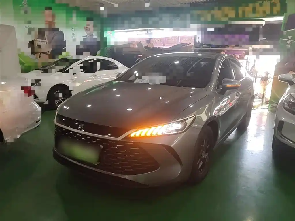 BYD Qin PLUS 2025 DM-i Smart Drive 55KM Leader