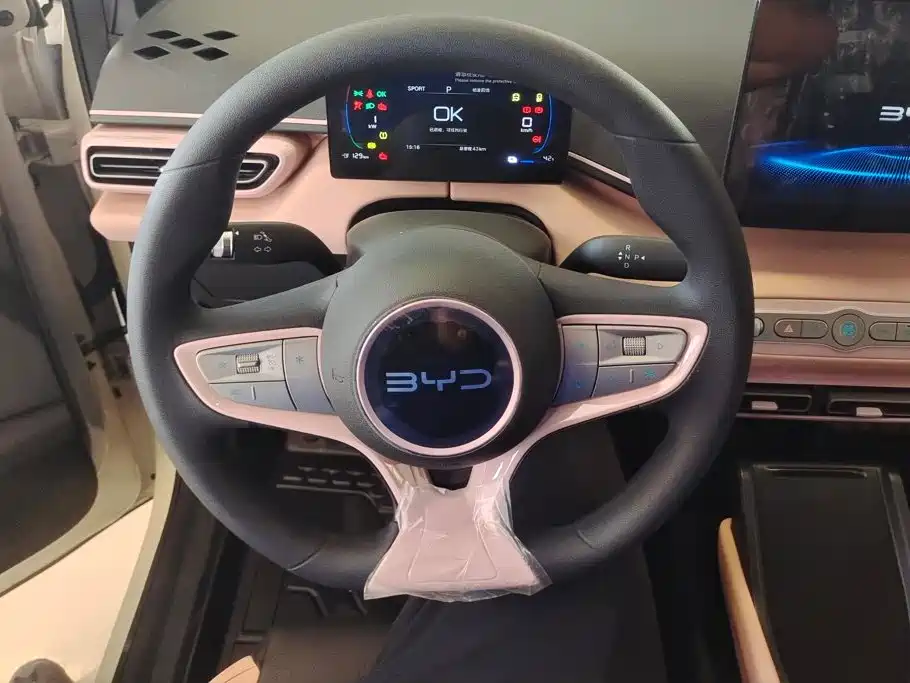BYD Seagull 2026 2025 Smart Drive Edition 305km Vitality Version