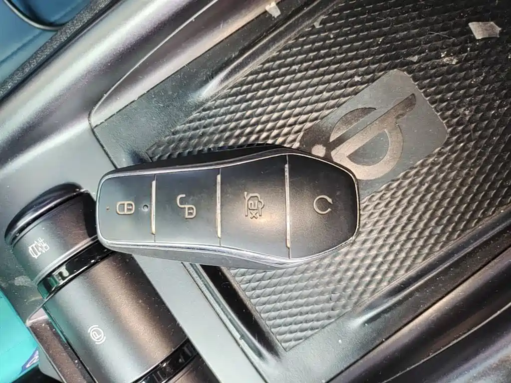 BYD Dolphin 2021 401km Knight Edition фото 9