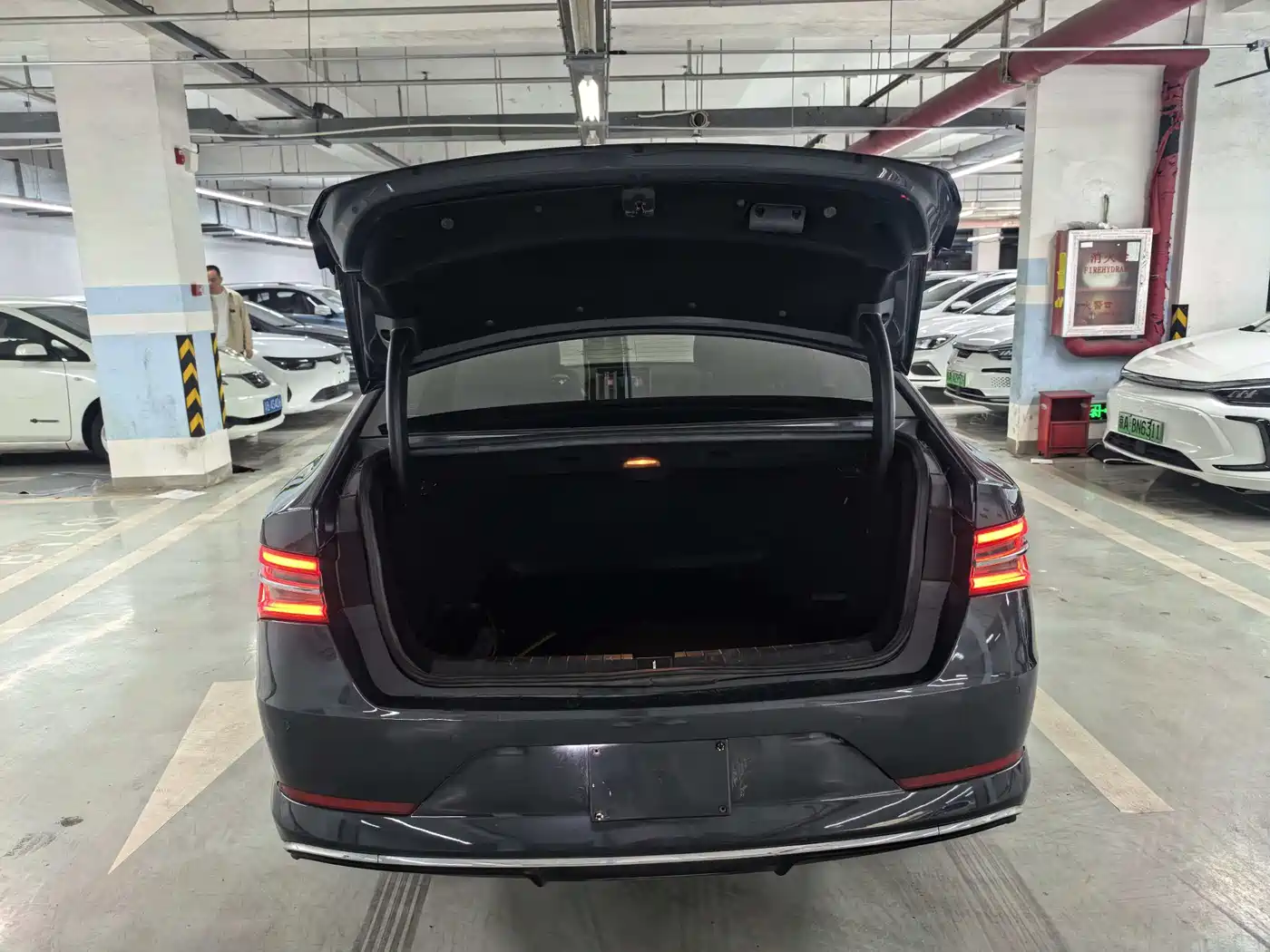 BYD Qin Pro New Energy 2019 EV Super Edition High Power Long Range Smart Connected Pioneer Type фото 16