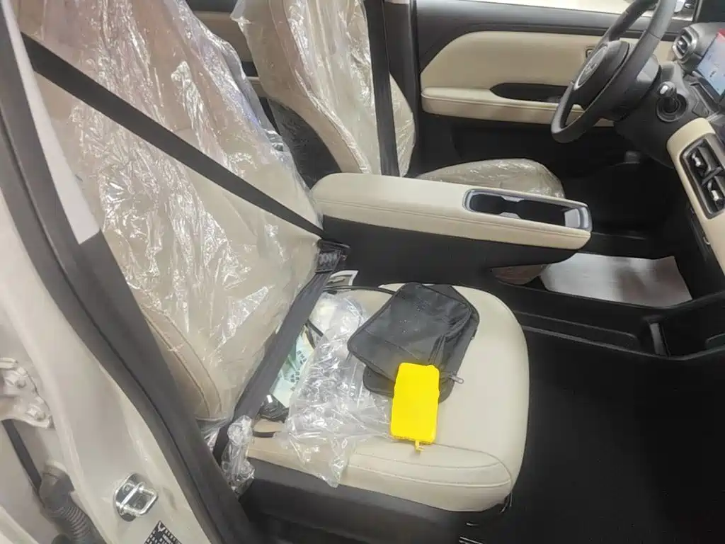 Wuling Motors Wuling Binguo PLUS 2026 2024 401km Range 5-seater
