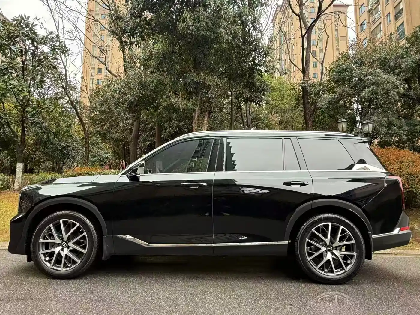 GAC Trumpchi Trumpchi GS8 2024 2025 Pilot Series 2.0TGDI 2WD Luxury Edition 5-seater