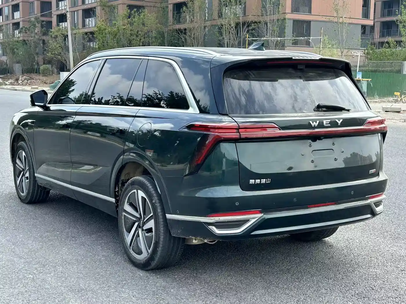 WEI PAI WEI BRAND BLUE MOUNTAIN