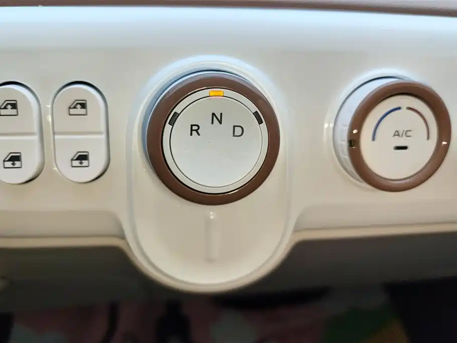 BESTUNE PENTIUM PONY