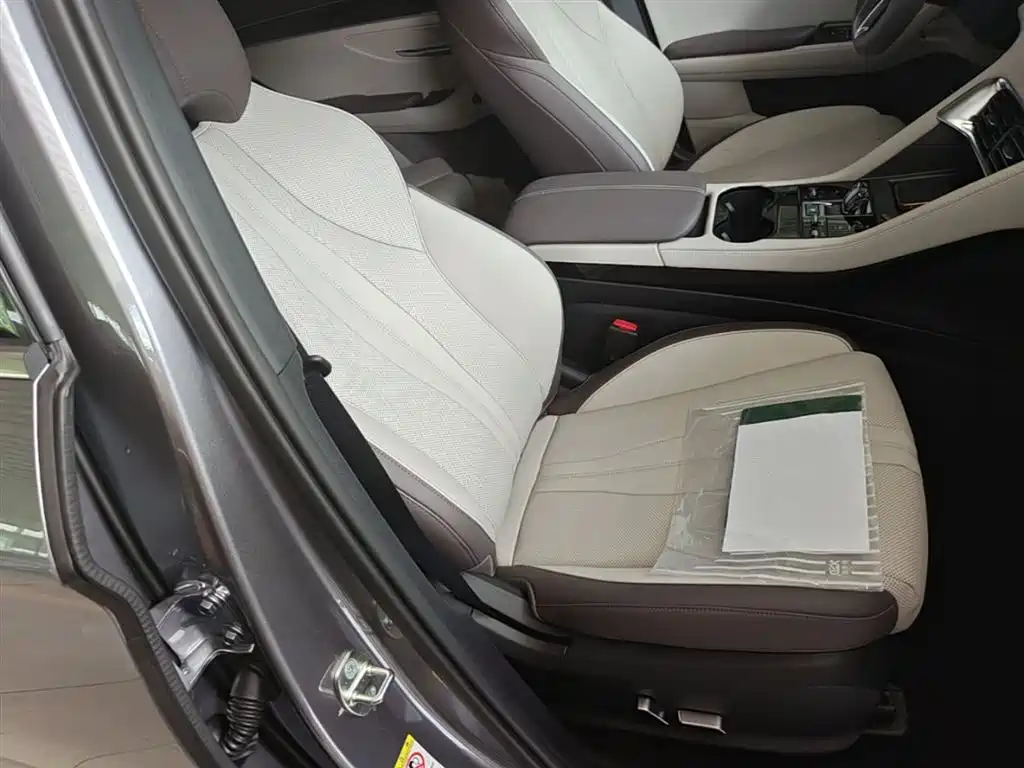 BYD Song PLUS PHEV 2025 DM-i 112KM Honor фото 24