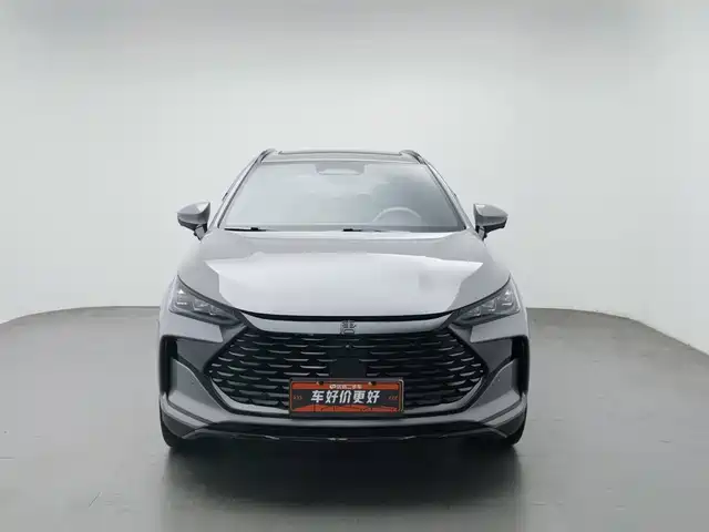 BYD Tang New Energy 2025 Smart Driving Edition DM-i 115KM Honor — фото 3