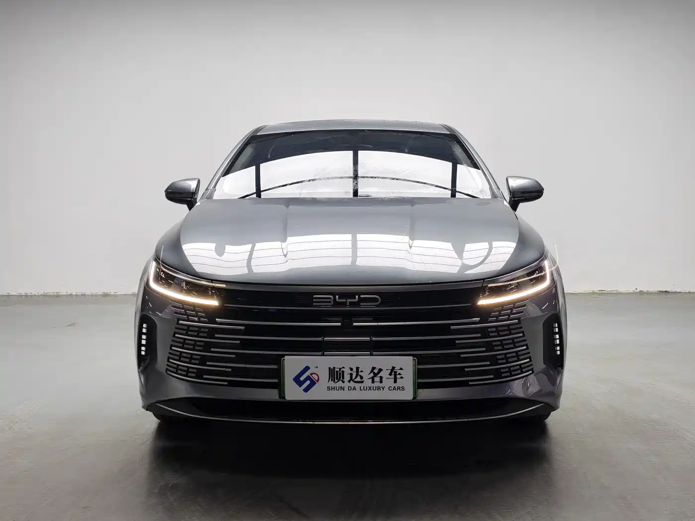 BYD Destroyer 05 2024 Glory Edition DM-i 55KM Luxury фото 2