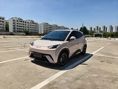 BYD Seagull