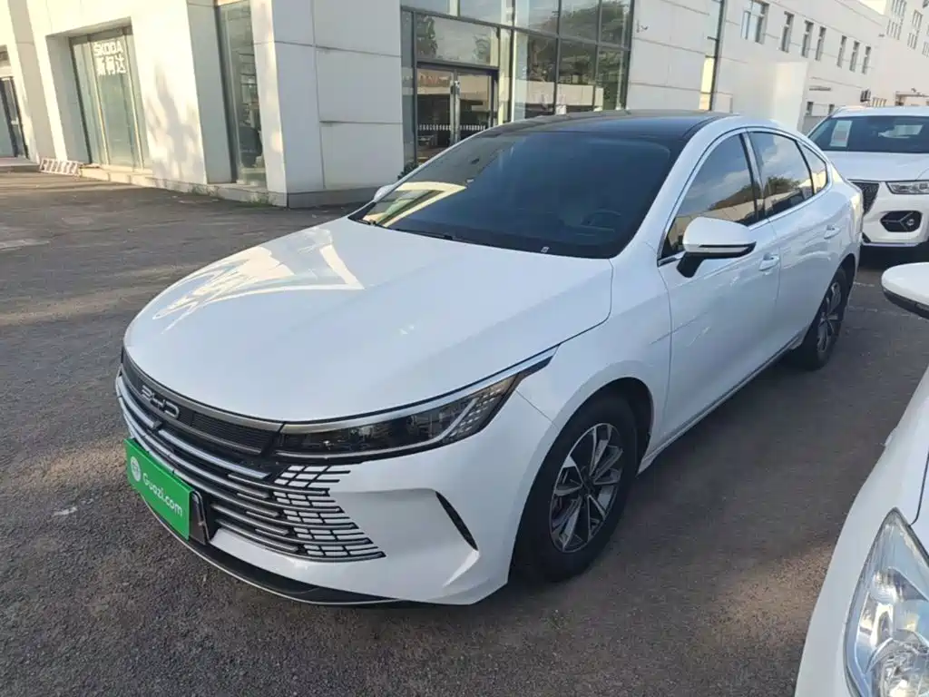 BYD Destroyer 05 2023 Champion Edition DM-i 55KM Luxury