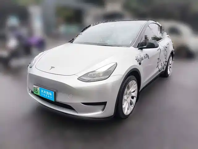 Tesla Model Y 2024 Rear-Wheel Drive Version — фото 1
