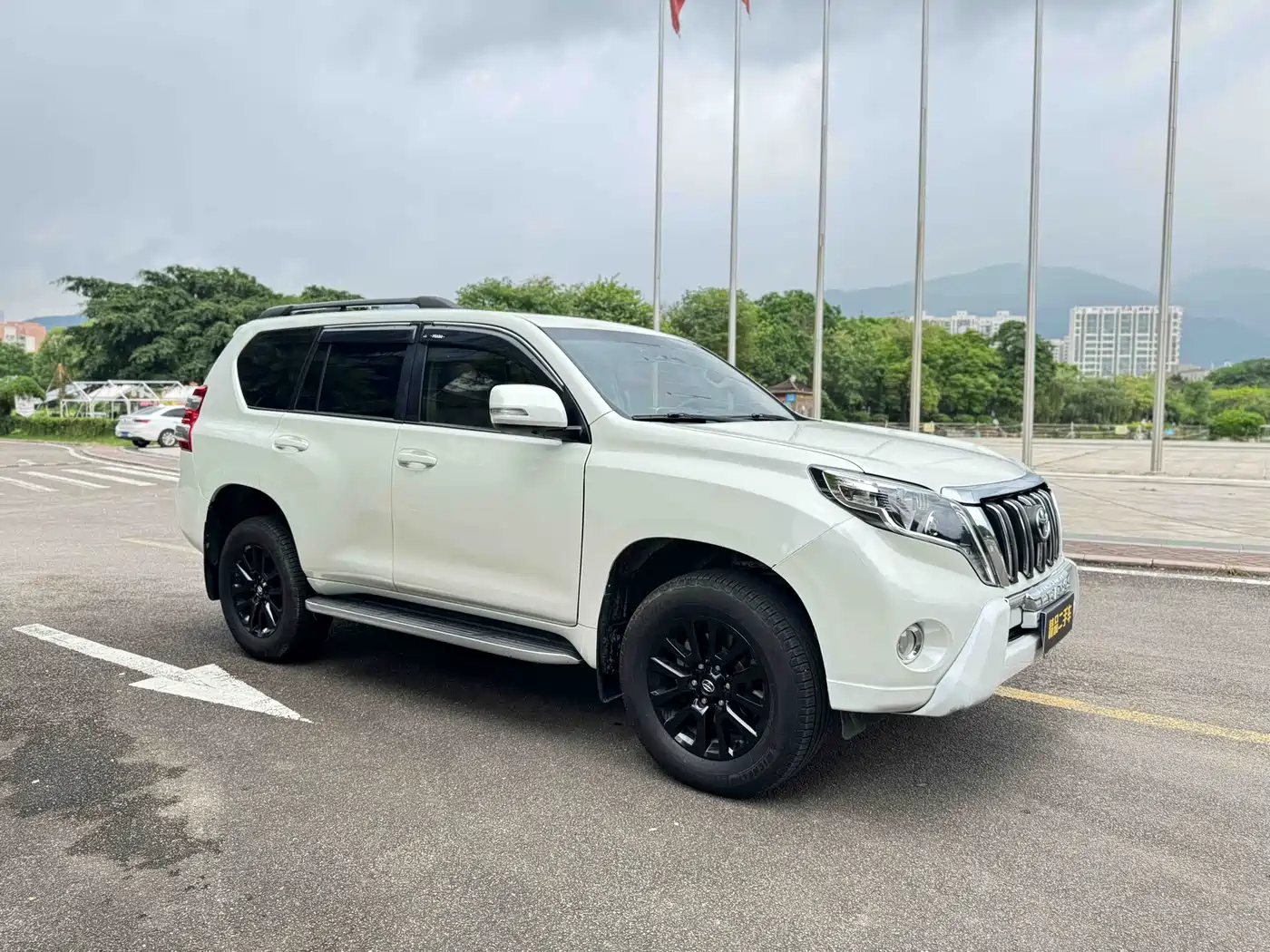 Toyota Prado 2010 4.0L Automatic TX-L фото 3