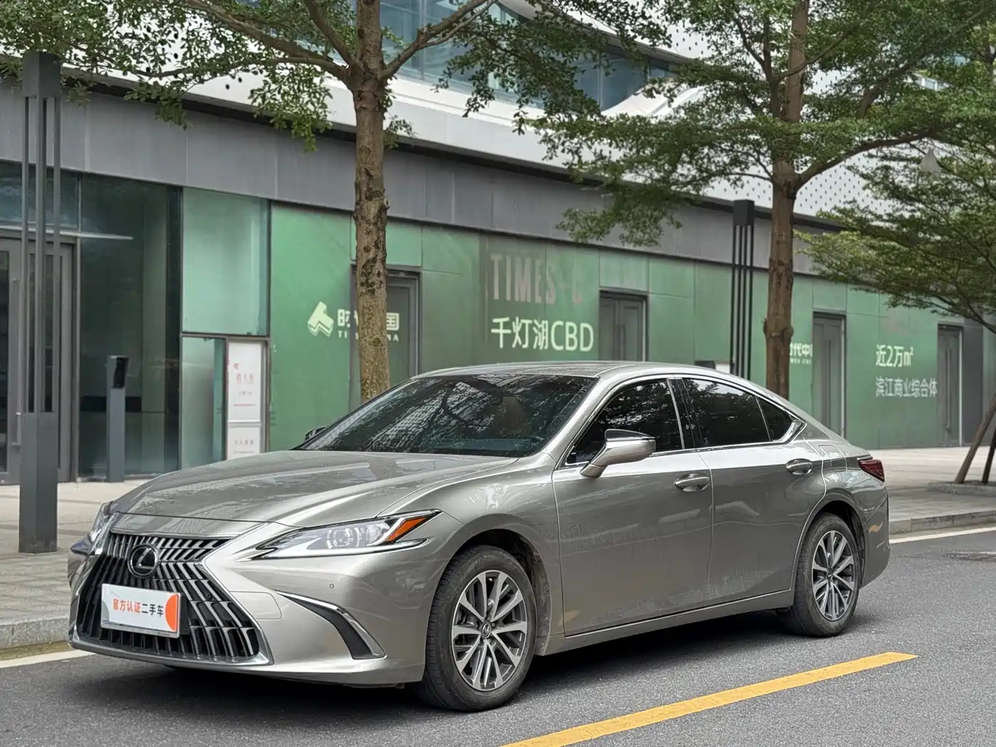 Lexus ES 2022 200 Excellence Edition