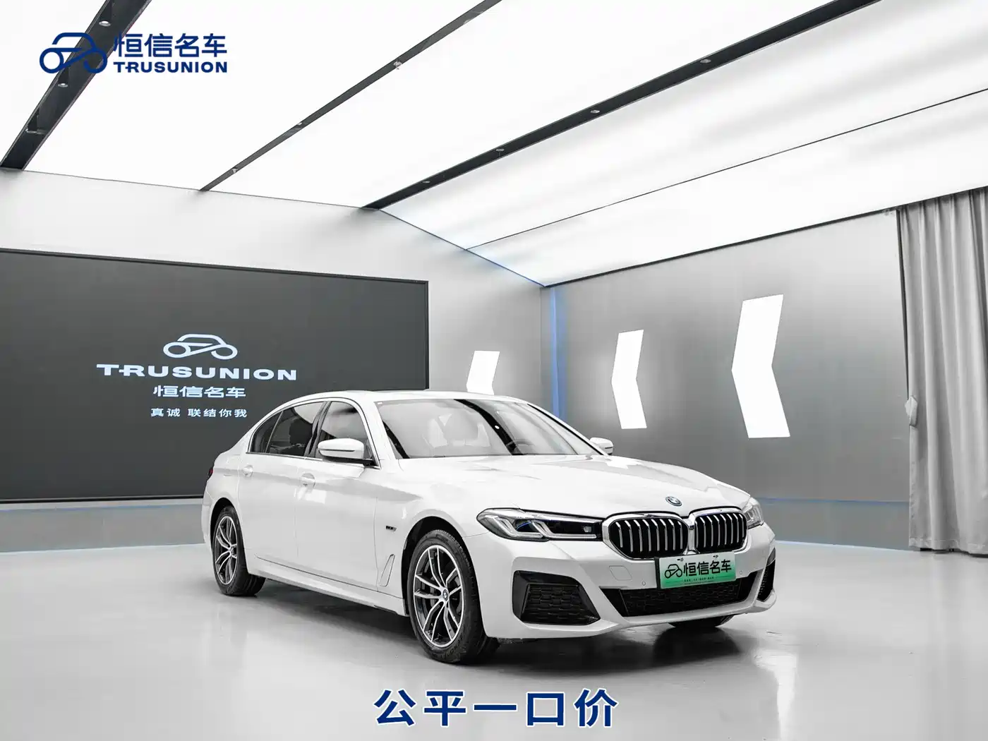 BMW 5 SERIES NEW ENERGY