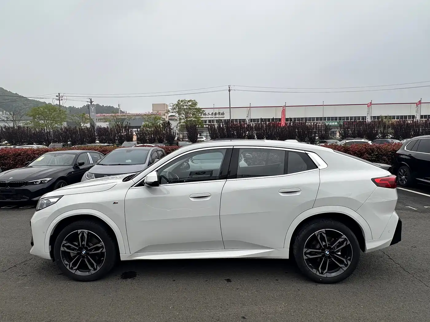 BMW X2 (Import) 2024 sDrive25i M Sport Package фото 5