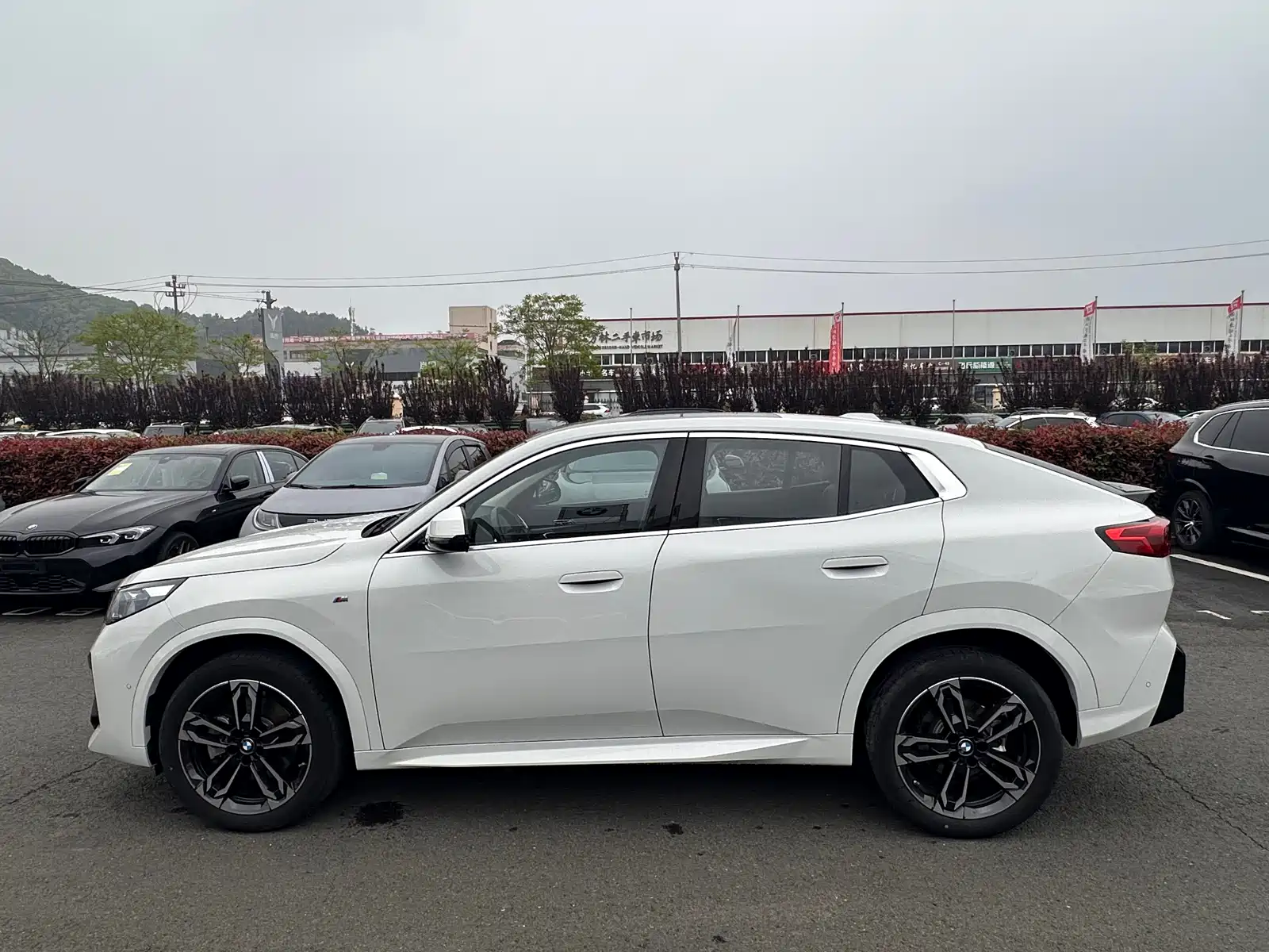 Фото 5 - BMW X2 (Import)