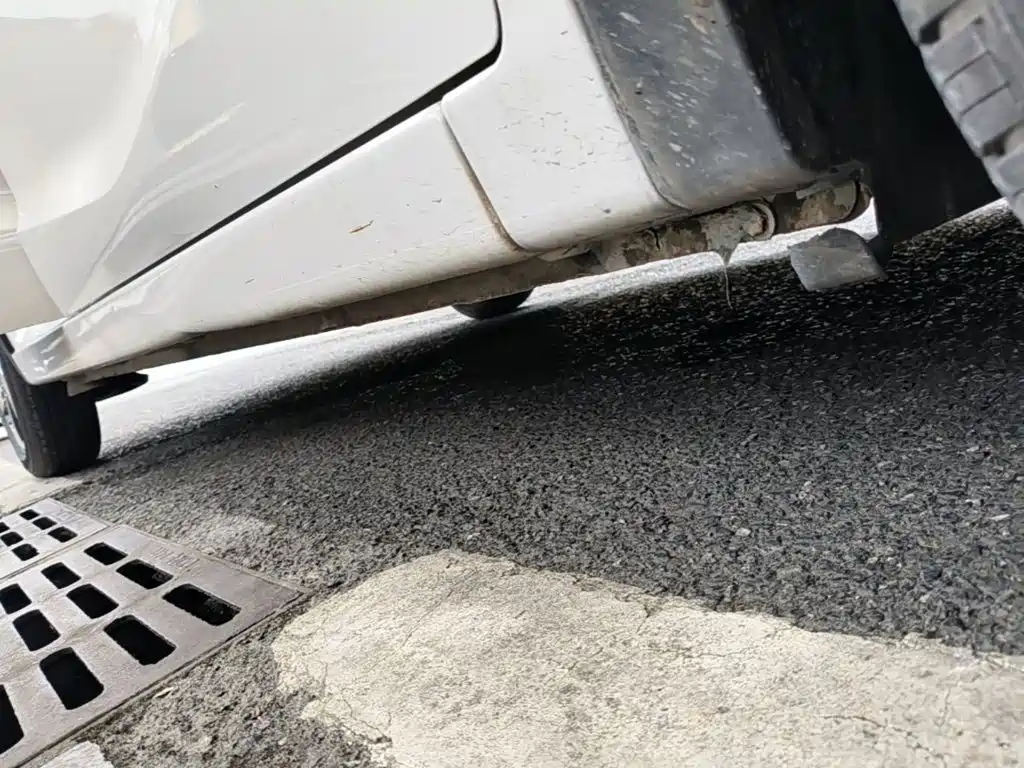 Baojun 310 2019 2017 1.5L Auto Luxury