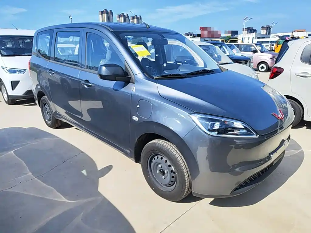 Wuling Motors Wuling Hongguang New Energy 2025 2024 Pure Electric 300KM Standard