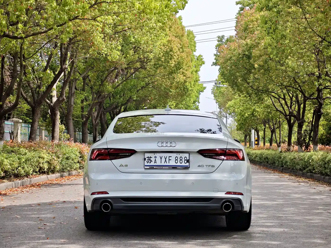 Audi A5 (Import) 2017 Sportback 40 TFSI Fashion фото 5