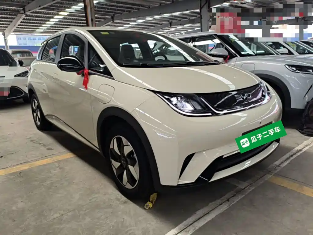 BYD Dolphin 2026 2025 420km Freedom Edition