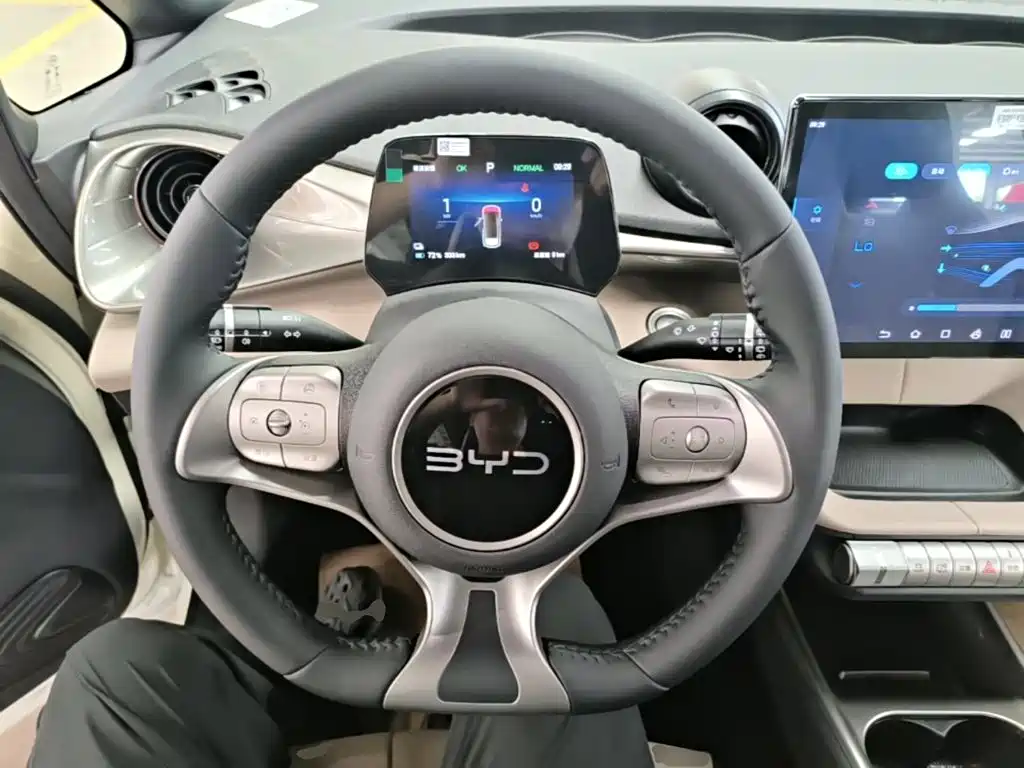 BYD Dolphin 2026 2025 420km Freedom Edition