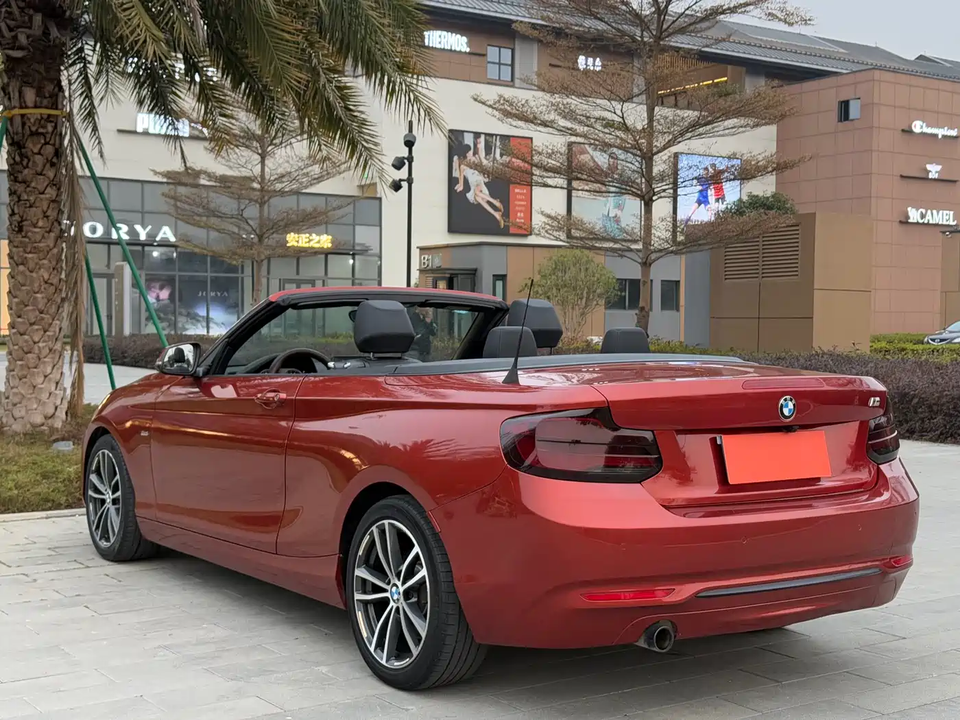 BMW 2 Series (Import) 2018 220i Convertible Coupe Sport Design Package фото 6