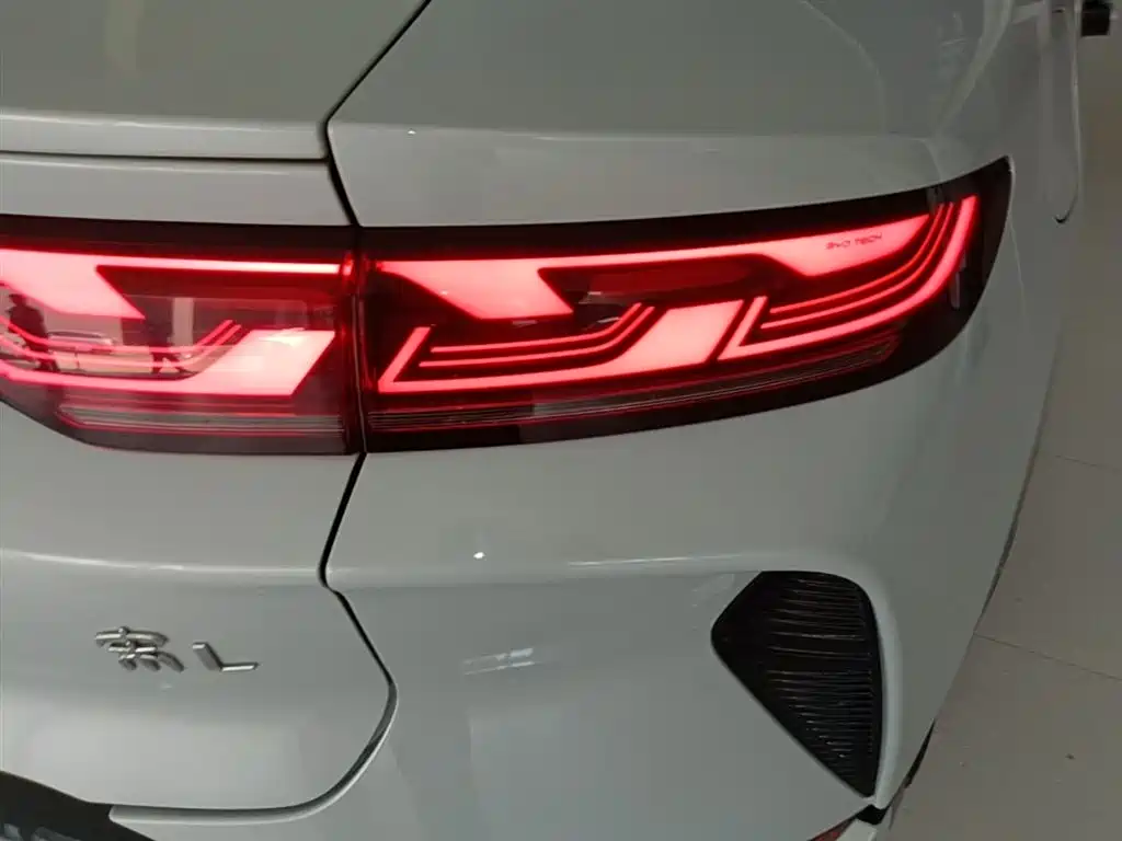 BYD Song L EV 2024 Model 602km AWD Excellence фото 8