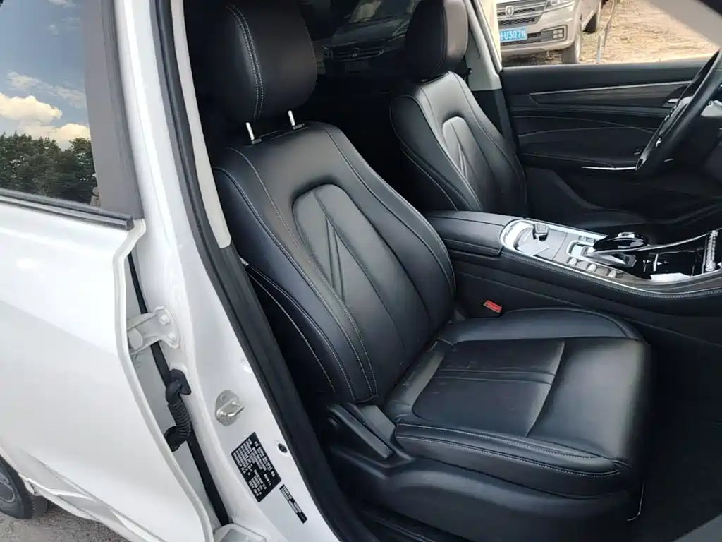 Landian E5 2024 2023 1.5L DE-i 100KM Premium 7-Seater