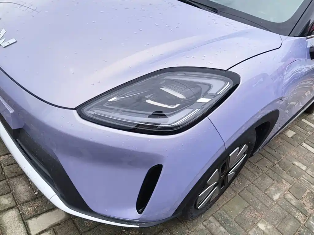 Wuling Motors Wuling Bingo S 2026 2025 Model 325km Premium Edition
