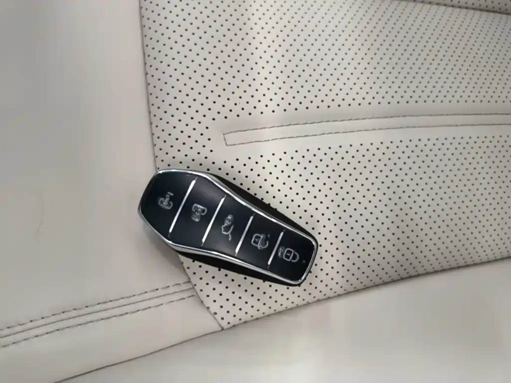 BYD Xia 2025 2025 DM-i 1.5T 100km Surpass Edition