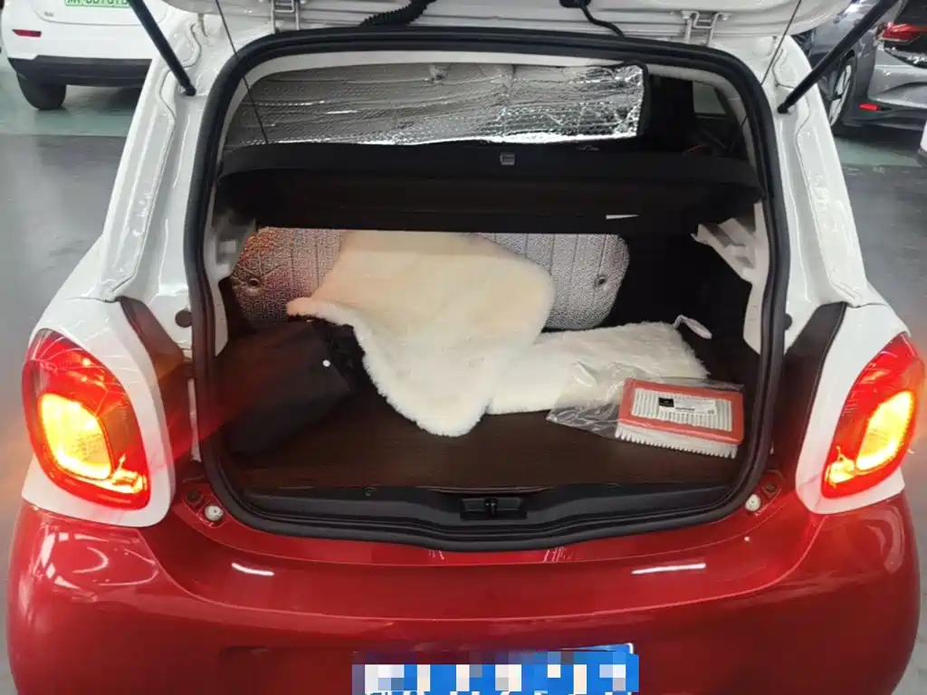 Фото 19 - smart forfour