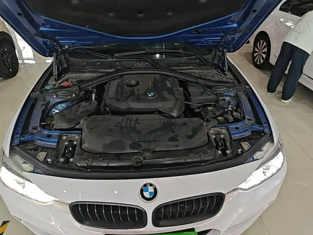 BMW 3 Series 2017 320Li M Sport фото 20