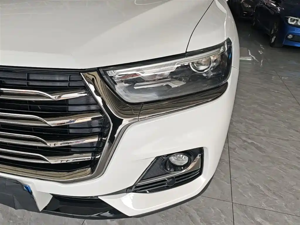 Haval H6 2021 Model National Trend Edition 1.5T Auto Champion фото 24