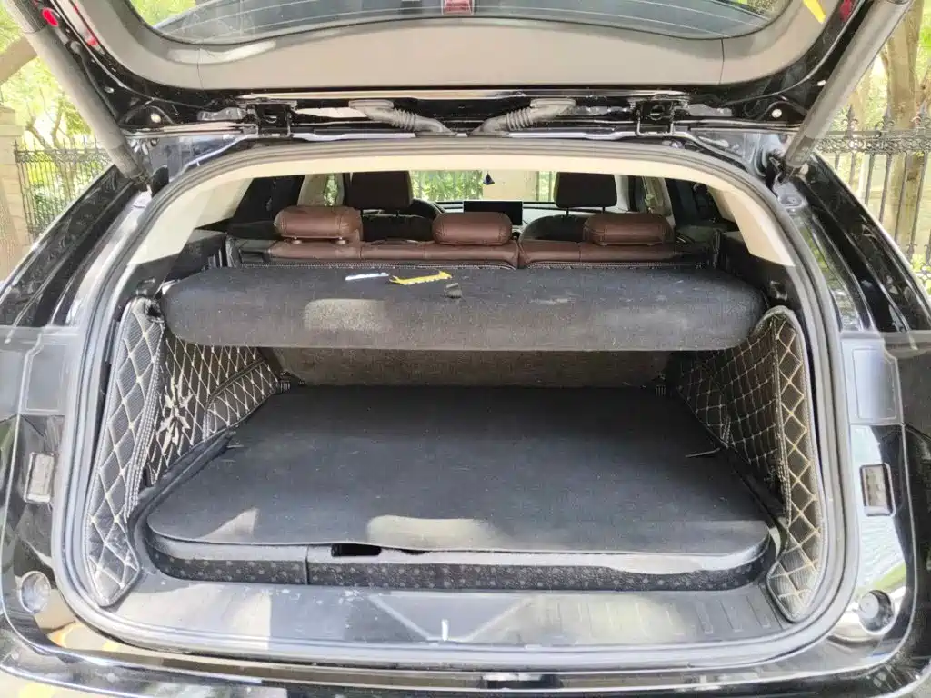 WEY VV7 New Energy 2020 2020 PHEV 2.0T Flagship Model