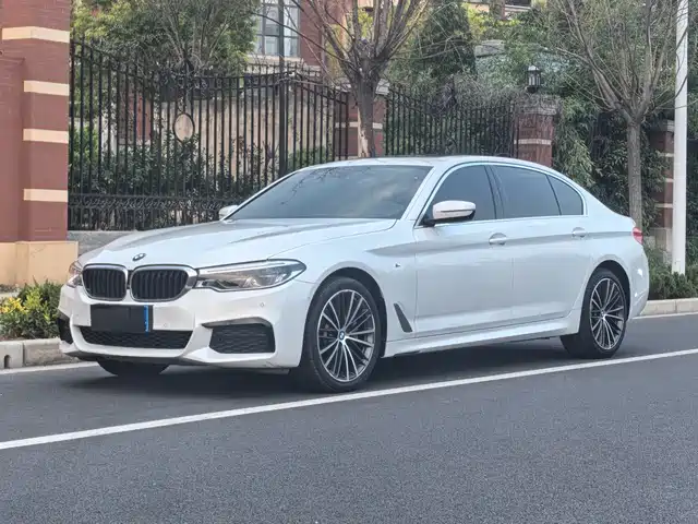 BMW 5 SERIES