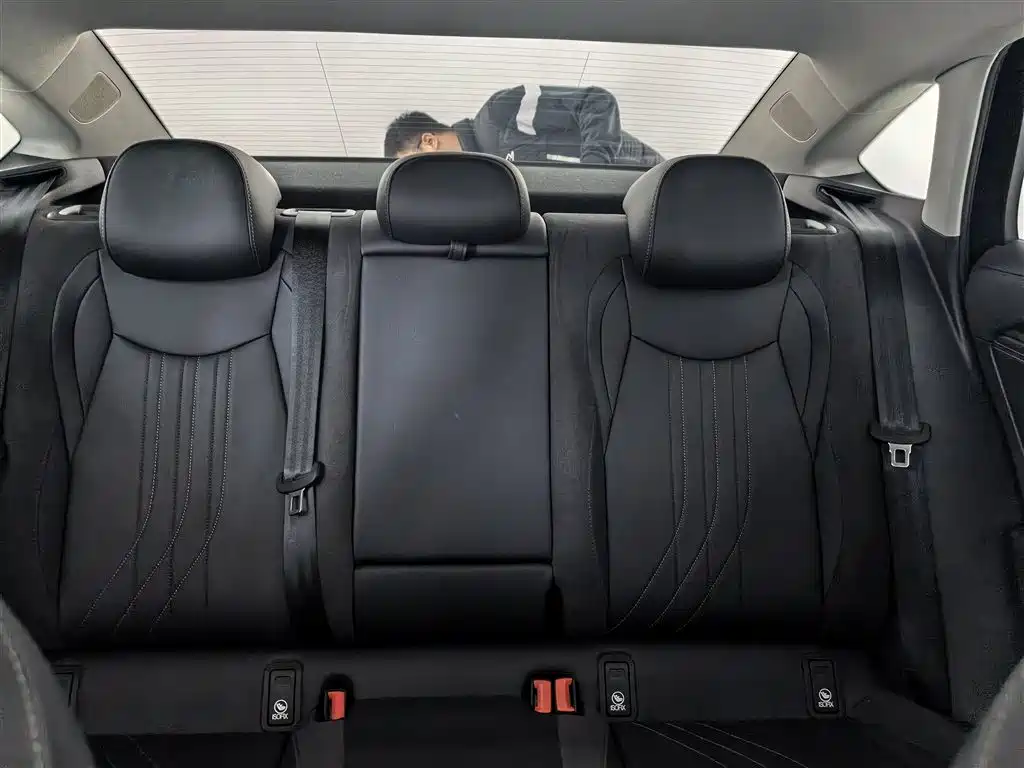 Volkswagen Magotan 2024 300TSI DSG Premium Edition (Eye-catching Package) фото 18