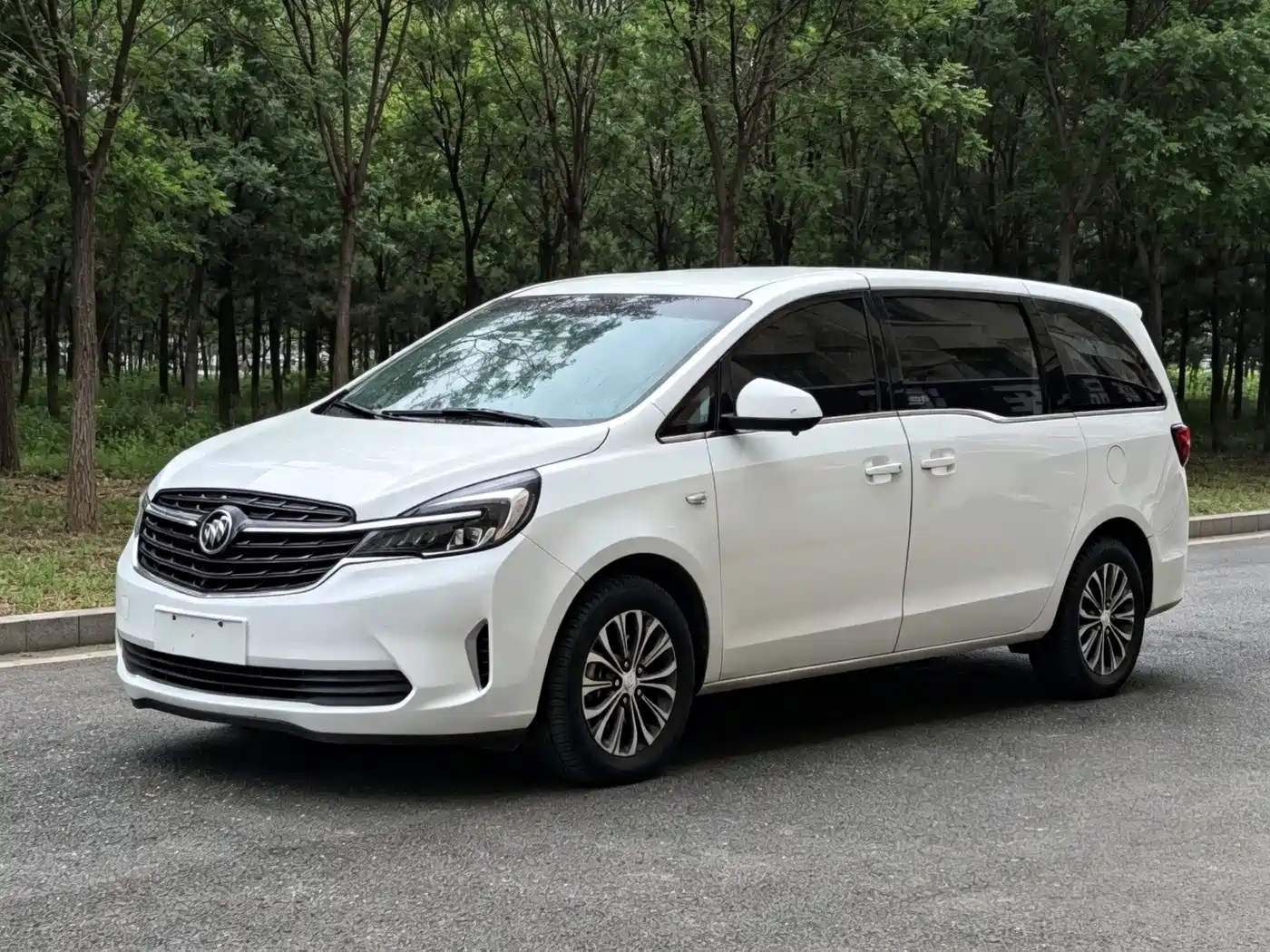 Buick GL8 2020 Model Land Business Class 652T Comfort