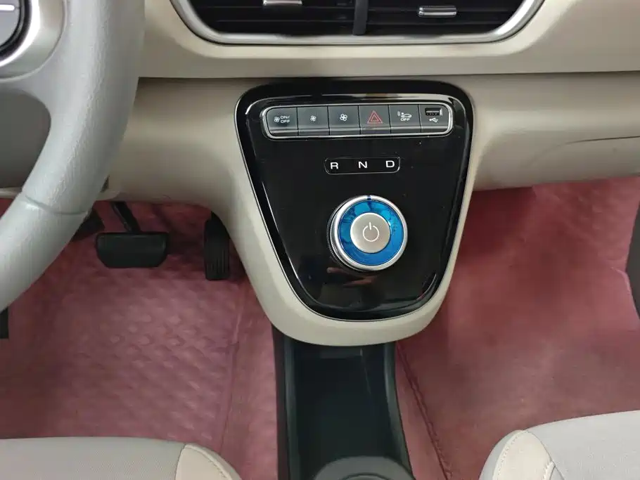 Ora White Cat 2022 2020 305km Luxury