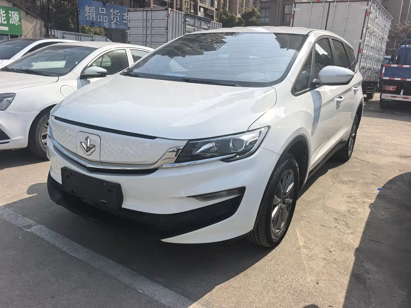 LIFAN MOTORS LIFAN MAPLE LEAF 80V