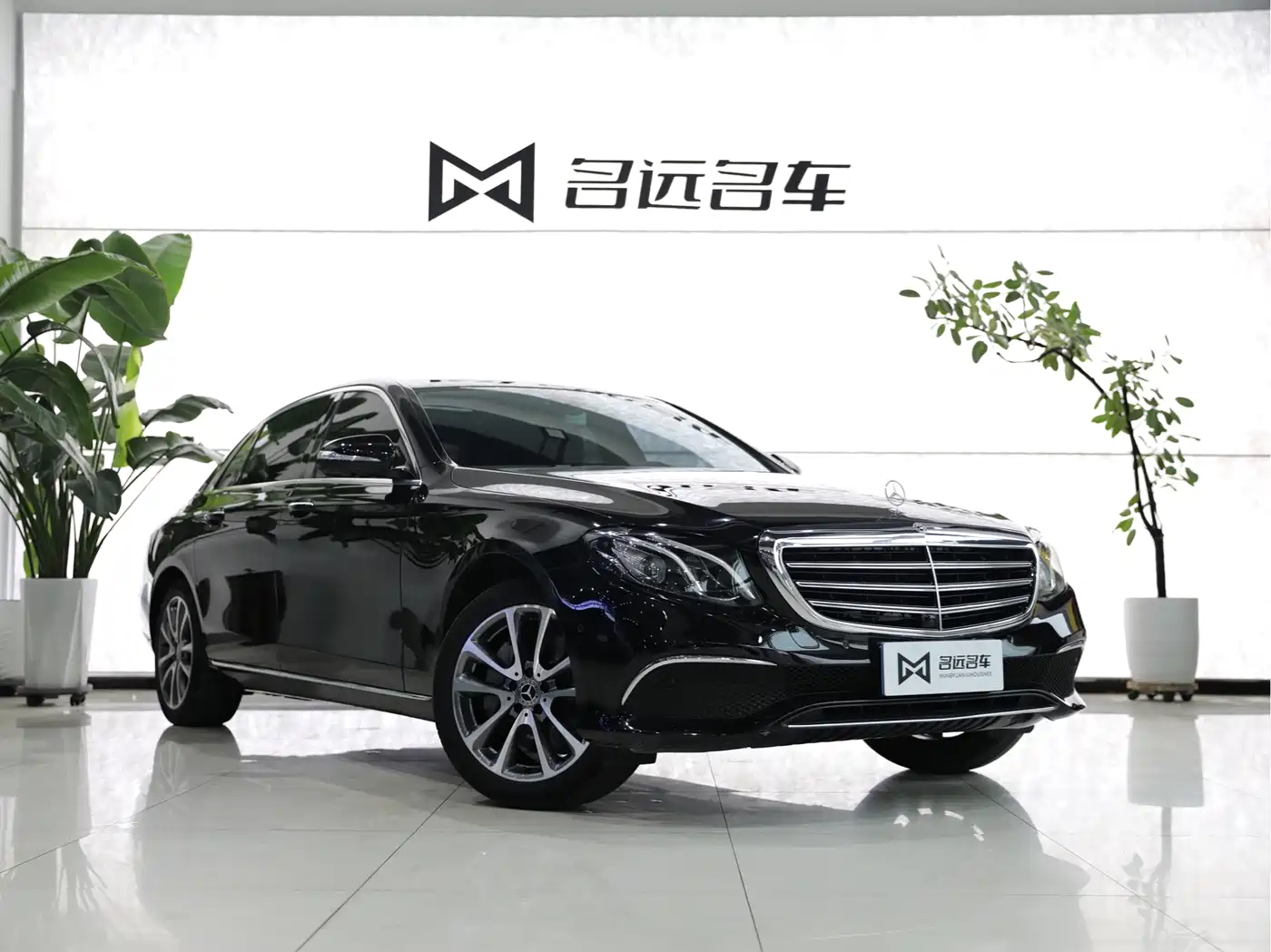 Mercedes-Benz E-Class 2019 E 300 L Luxury фото 3