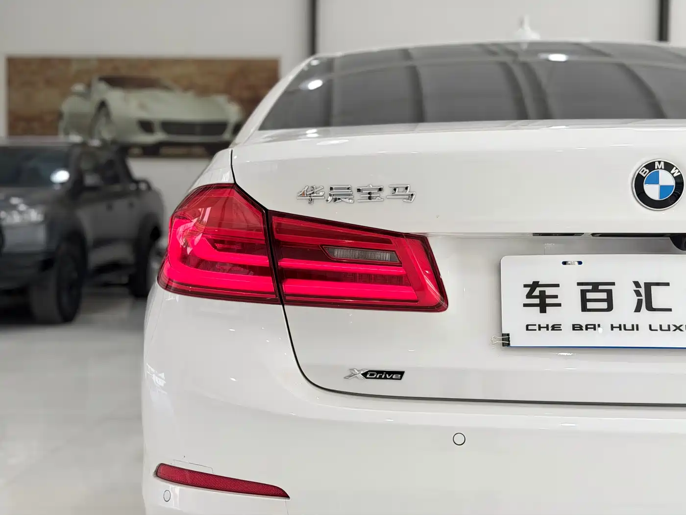 BMW 5 Series 2020 530Li xDrive Luxury Package фото 14