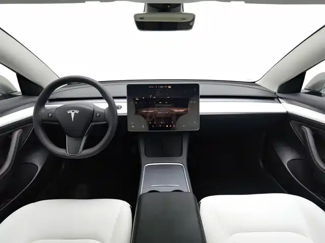 Tesla Model 3 2021 Standard Range Rear-Wheel Drive Upgrade 3D6 — фото 5
